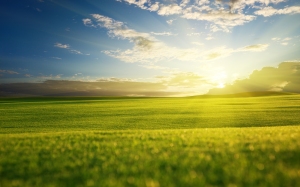 Nature___Seasons___Spring_Sunny_morning_on_a_spring_field_067755_